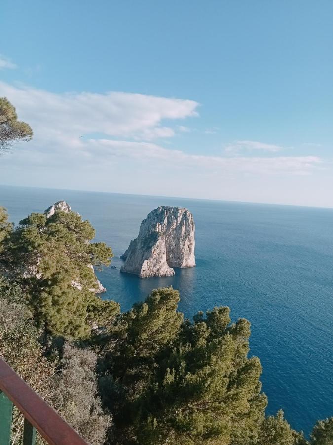 Il Blu Villa Capri Rum bild